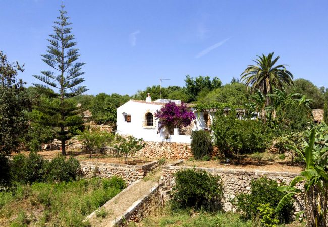 alquiler casa ciutadella casas rurales en ciutadella de menorca menorca ca savia alquiler casa ciutadella casas rurales en ciutadella de menorca menorca ca savia
