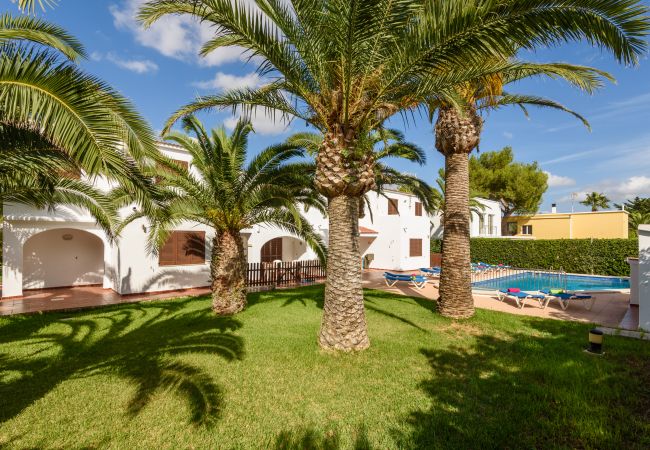 Apartamento en Cala Blanca - Menorca Palmeras 6