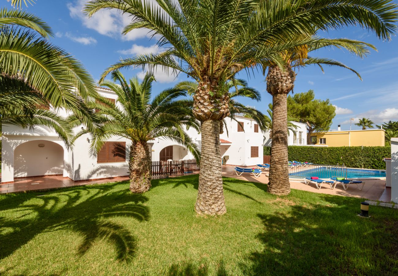 Apartamento en Cala Blanca - Menorca Palmeras 6