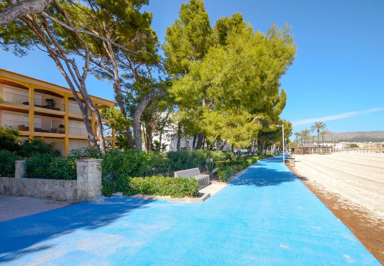 Apartamento en Alcúdia - A. Minervas Dream Garden