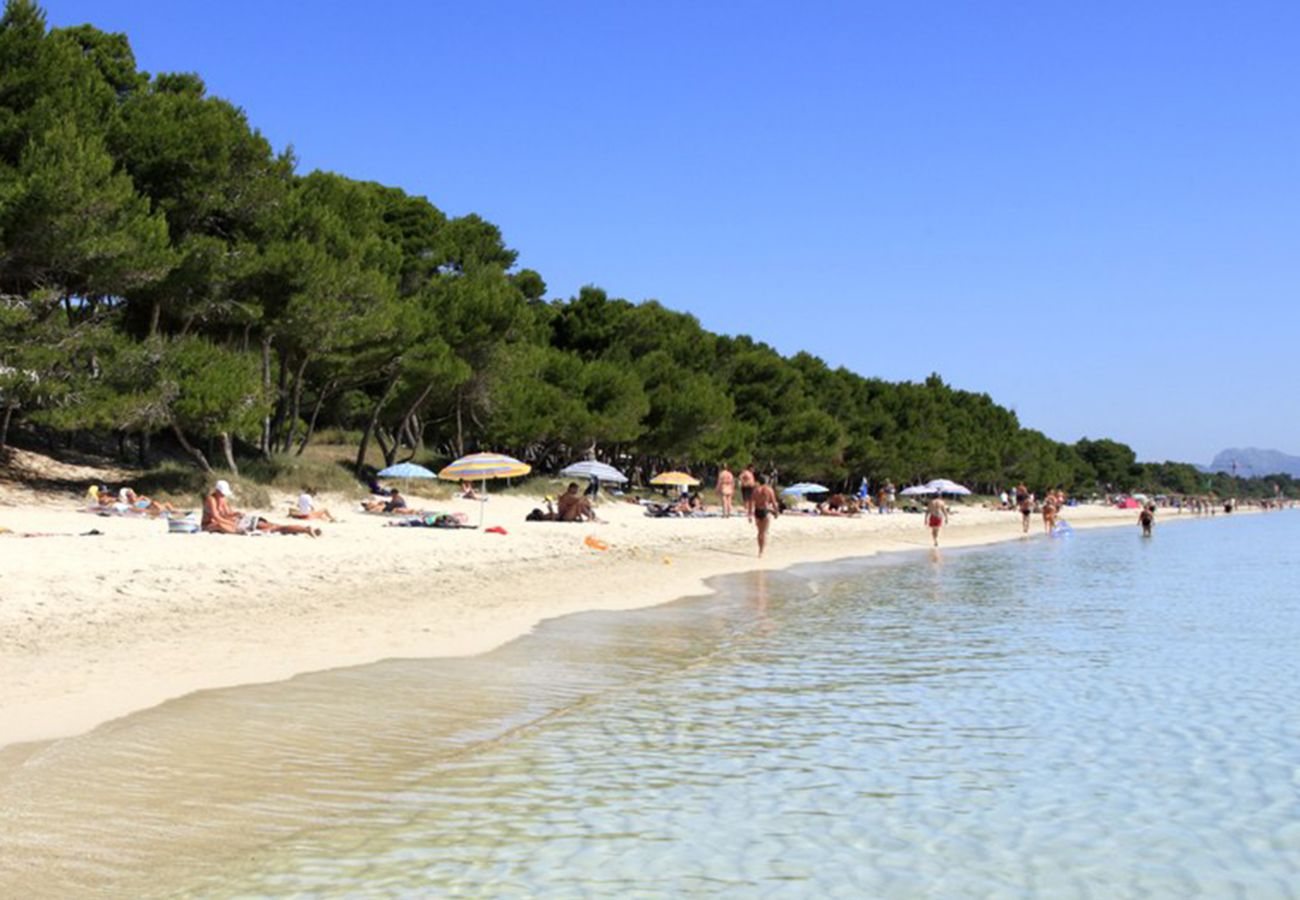 Apartamento en Alcúdia - A. Minervas Dream Garden