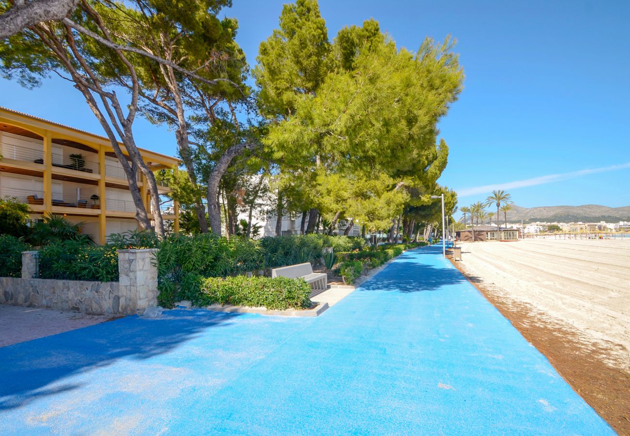 Apartamento en Alcúdia - A. Minervas Dream Attic