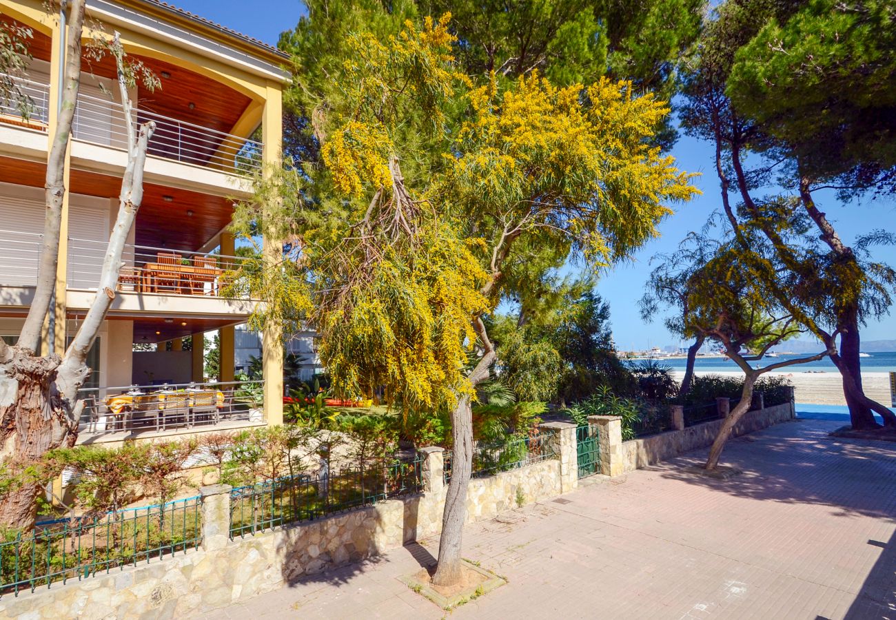 Apartamento en Alcúdia - A. Minervas Dream Attic