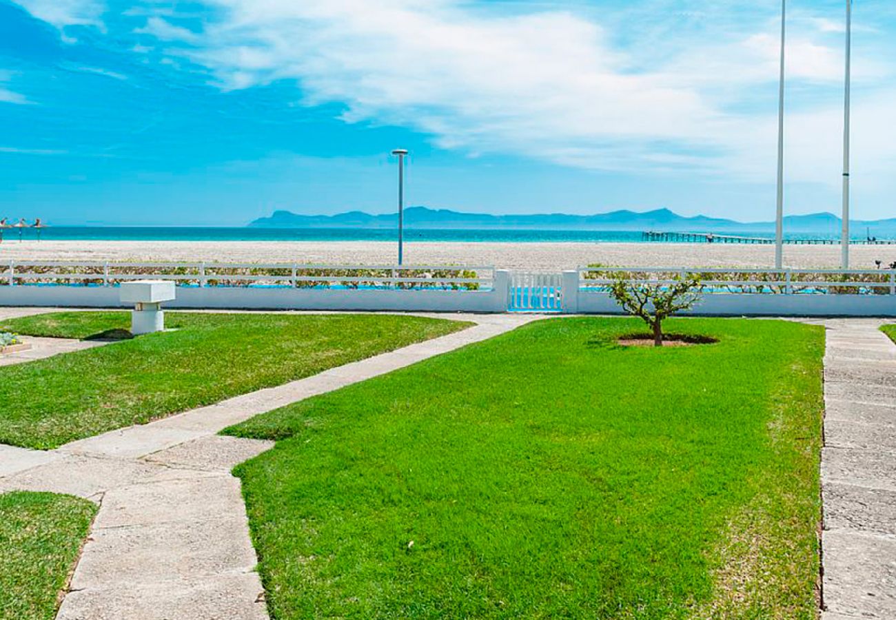 Apartamento en Alcúdia - A. Oiza Garden (Bahía Blanca) en Playa Alcudia