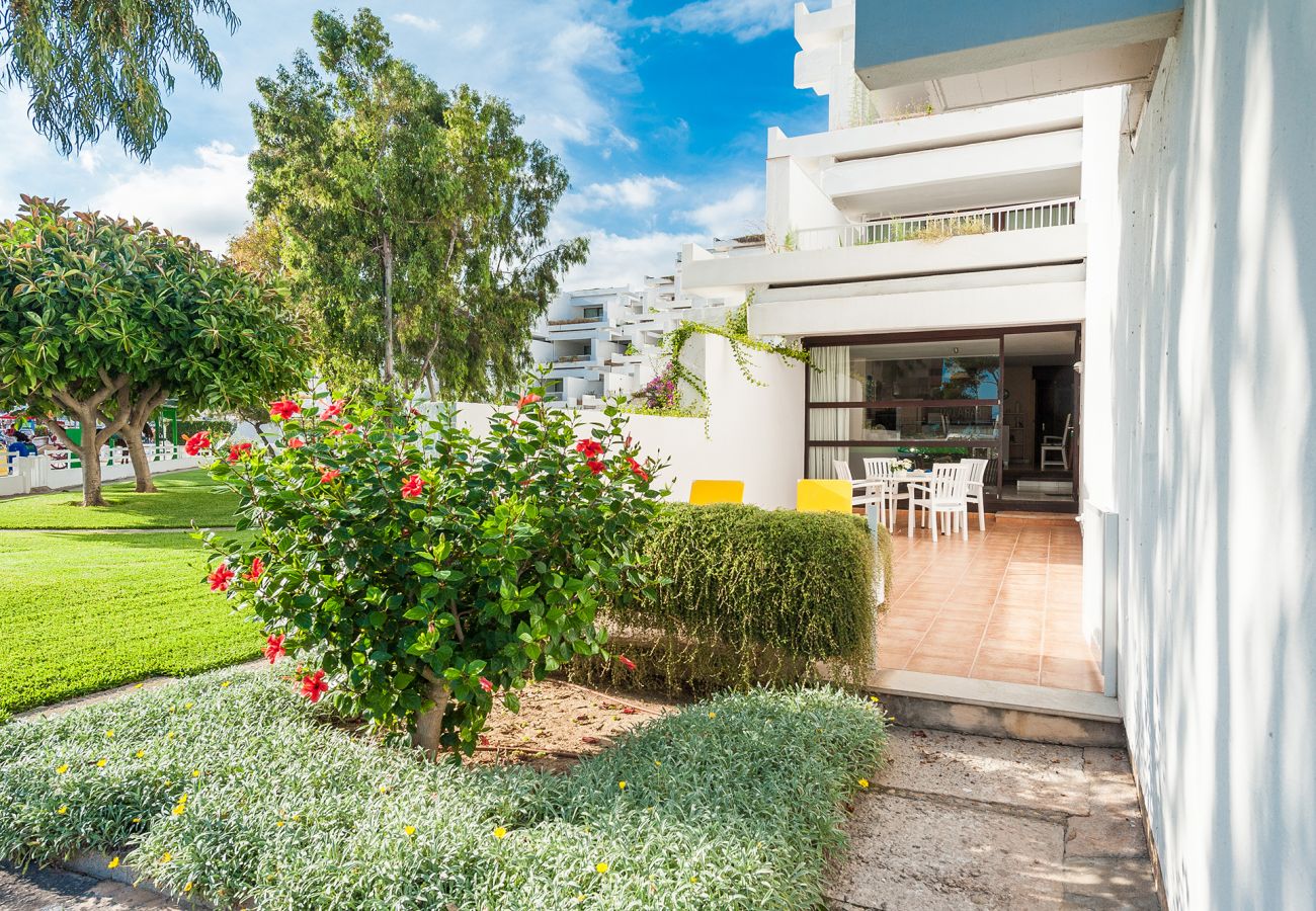 Apartamento en Alcúdia - A. Oiza Garden (Bahía Blanca) en Playa Alcudia