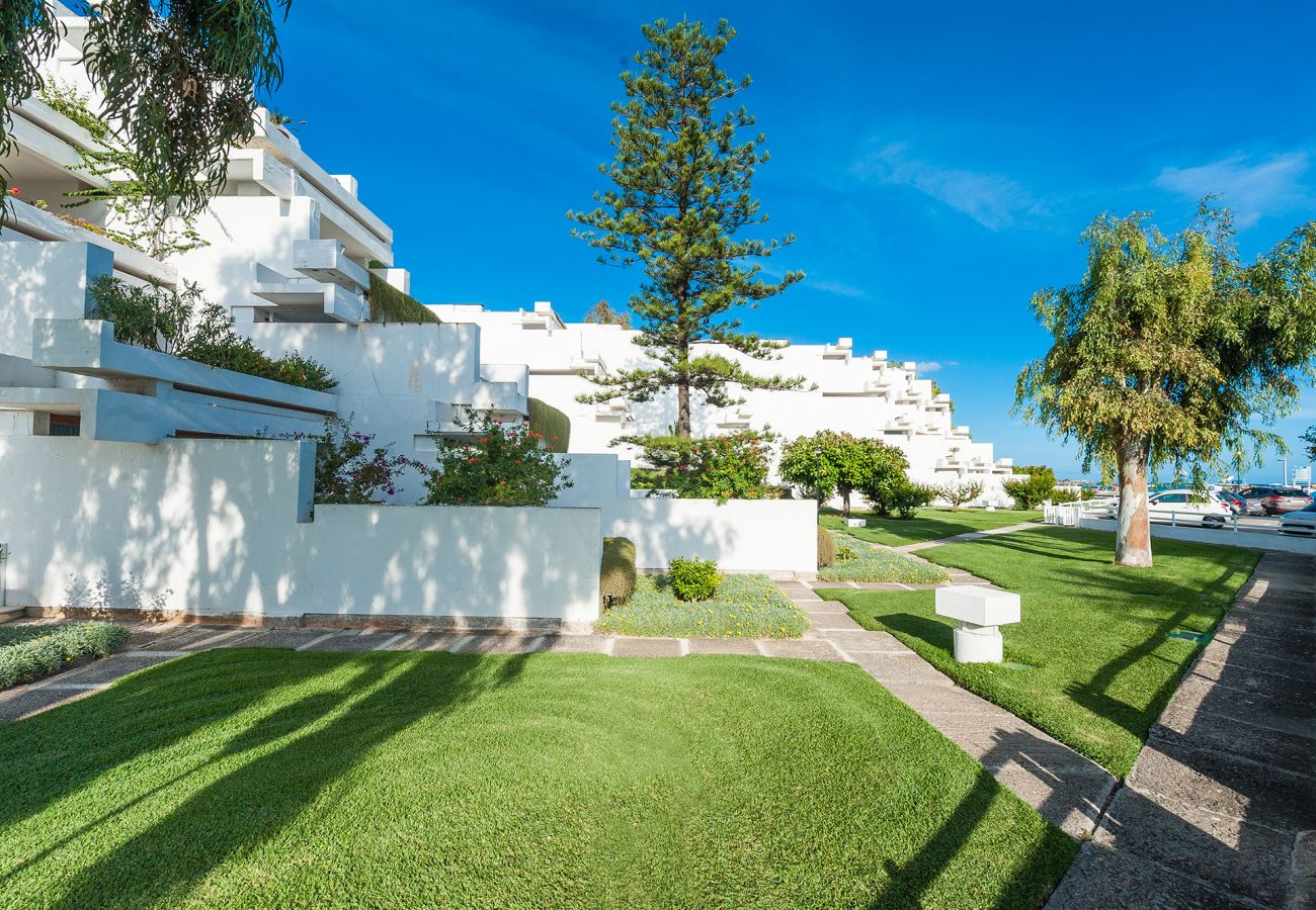 Apartamento en Alcúdia - A. Oiza Garden (Bahía Blanca) en Playa Alcudia