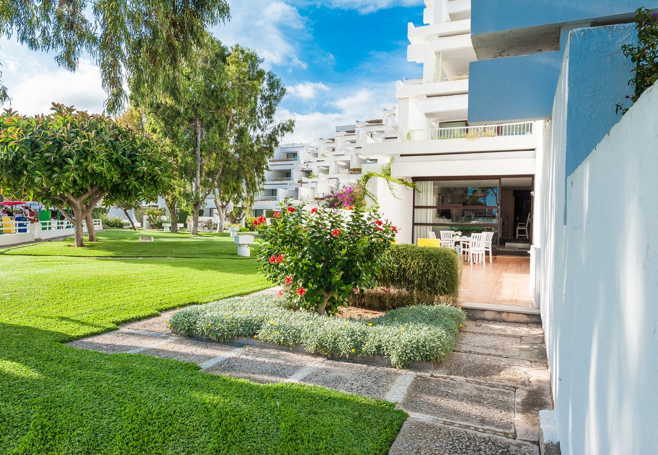 Apartamento en Alcúdia - A. Oiza Garden (Bahía Blanca) en Playa Alcudia