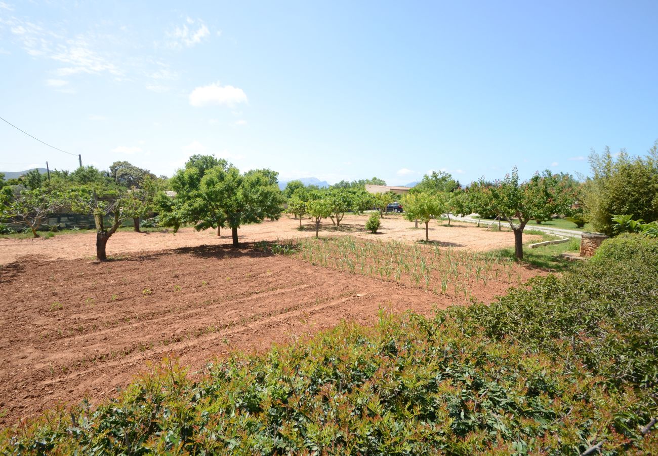 Villa en Alcúdia - V. Can Pau in Alcudia WiFi AC