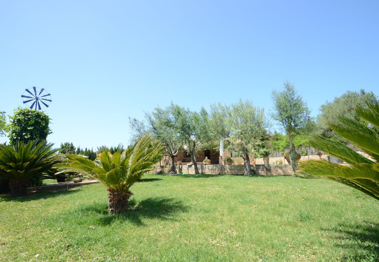 Villa en Alcúdia - V. Can Pau in Alcudia WiFi AC