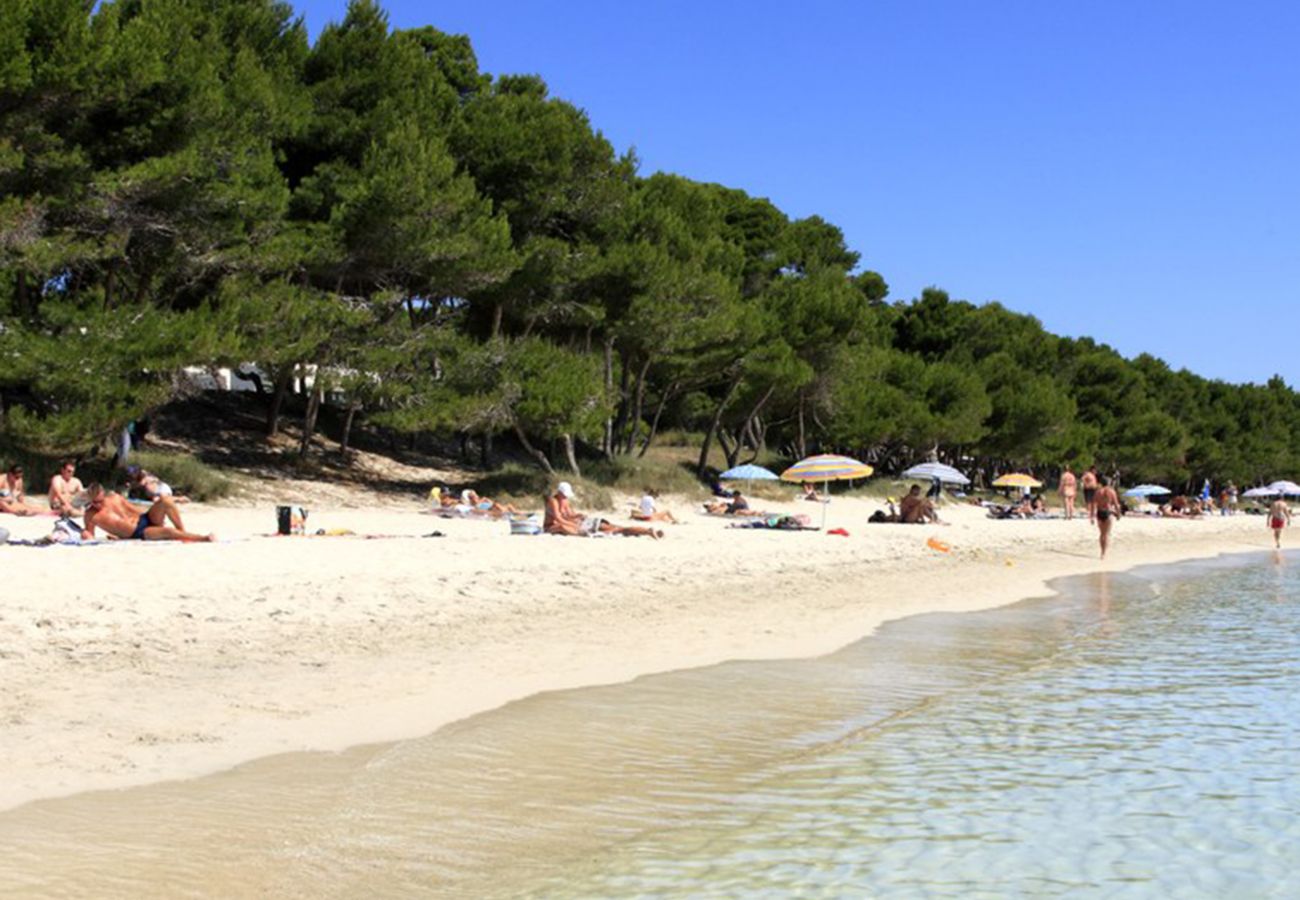 Apartamento en Alcúdia - A. Countess Attic C in Alcudia Beach