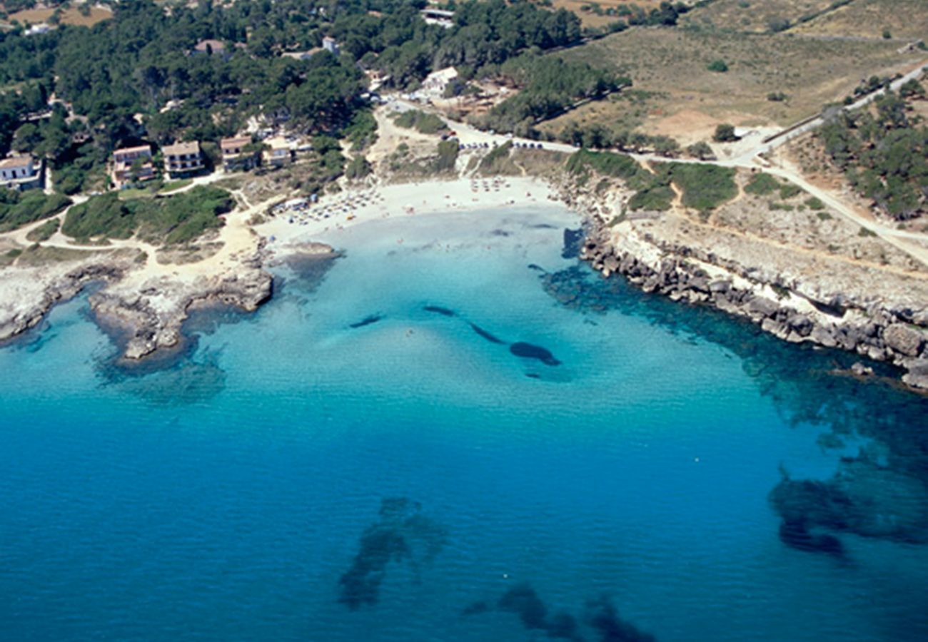Villa en Alcúdia - V. Villa Teix de Bonaire