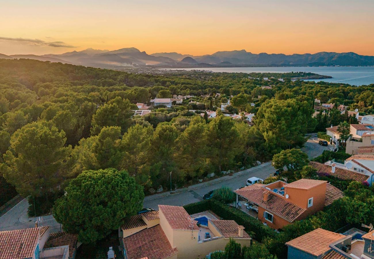Villa en Alcúdia - V. Villa Teix de Bonaire