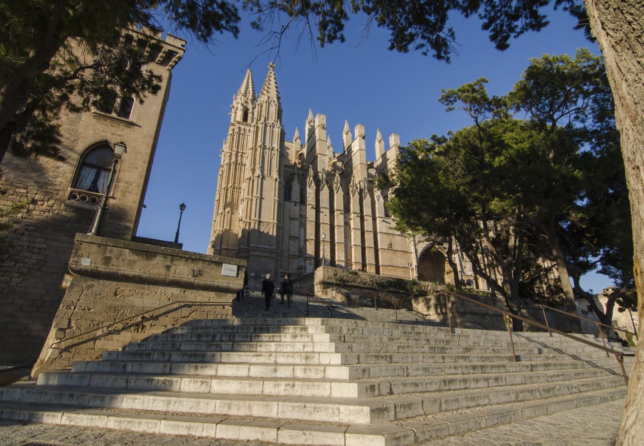 Apartamento en Palma de Mallorca - Centro de Palma junto a la Catedral - La Lonja Hom