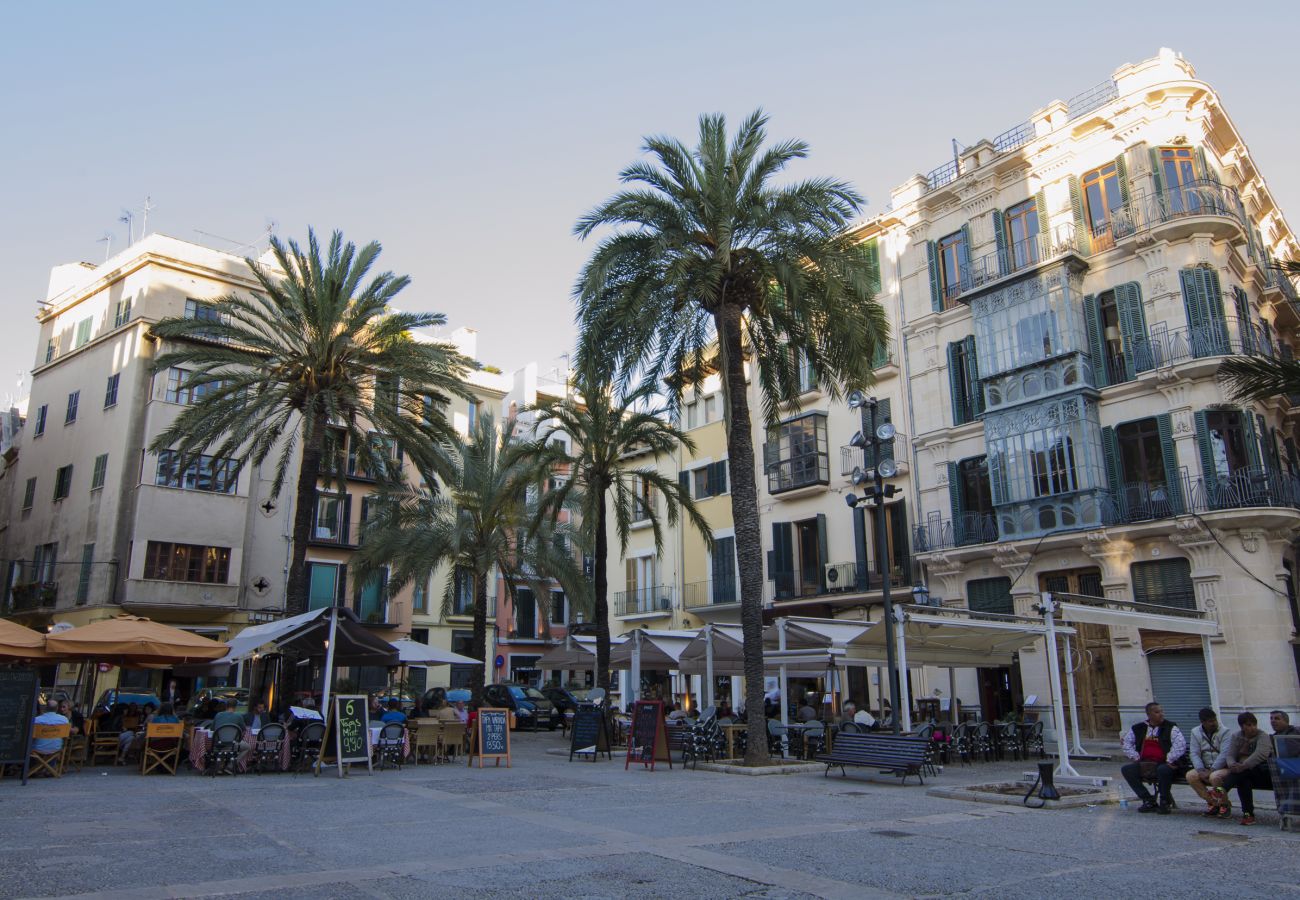 Apartamento en Palma de Mallorca - Centro de Palma junto a la Catedral - La Lonja Hom
