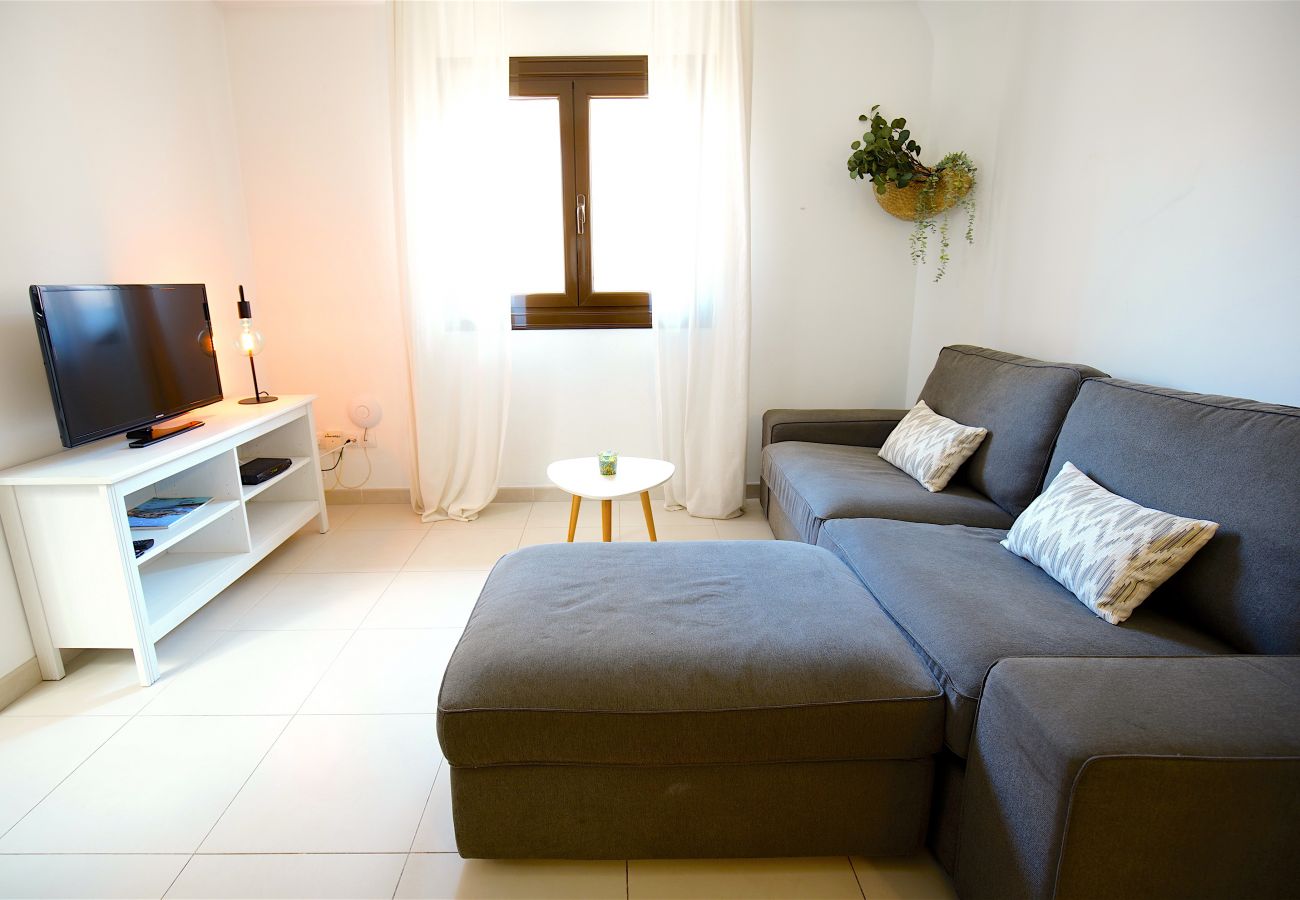 Apartamento en Palma de Mallorca - Centro de Palma junto a la Catedral - La Lonja Hom