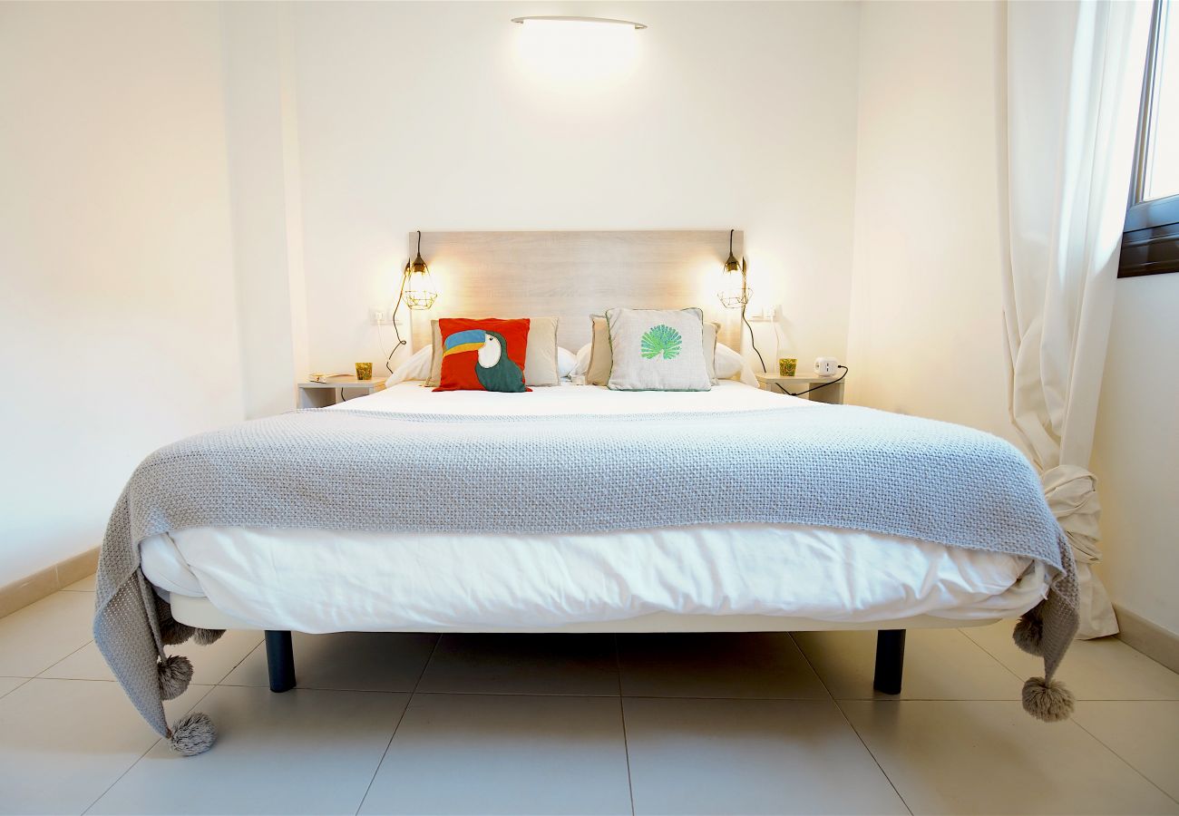 Apartamento en Palma de Mallorca - Centro de Palma junto a la Catedral - La Lonja Hom