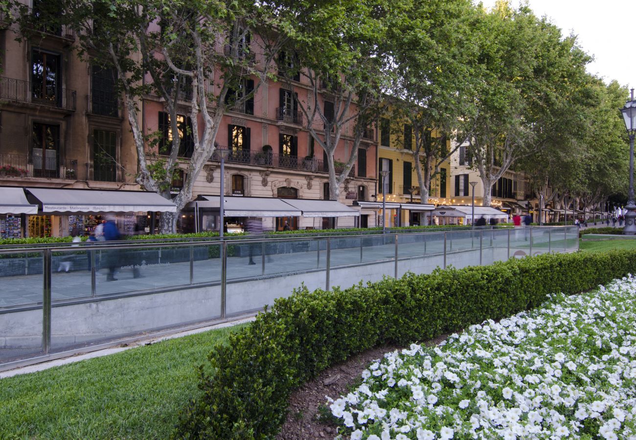 Apartamento en Palma de Mallorca - Superb apartment in La Lonja - La Lonja Homes