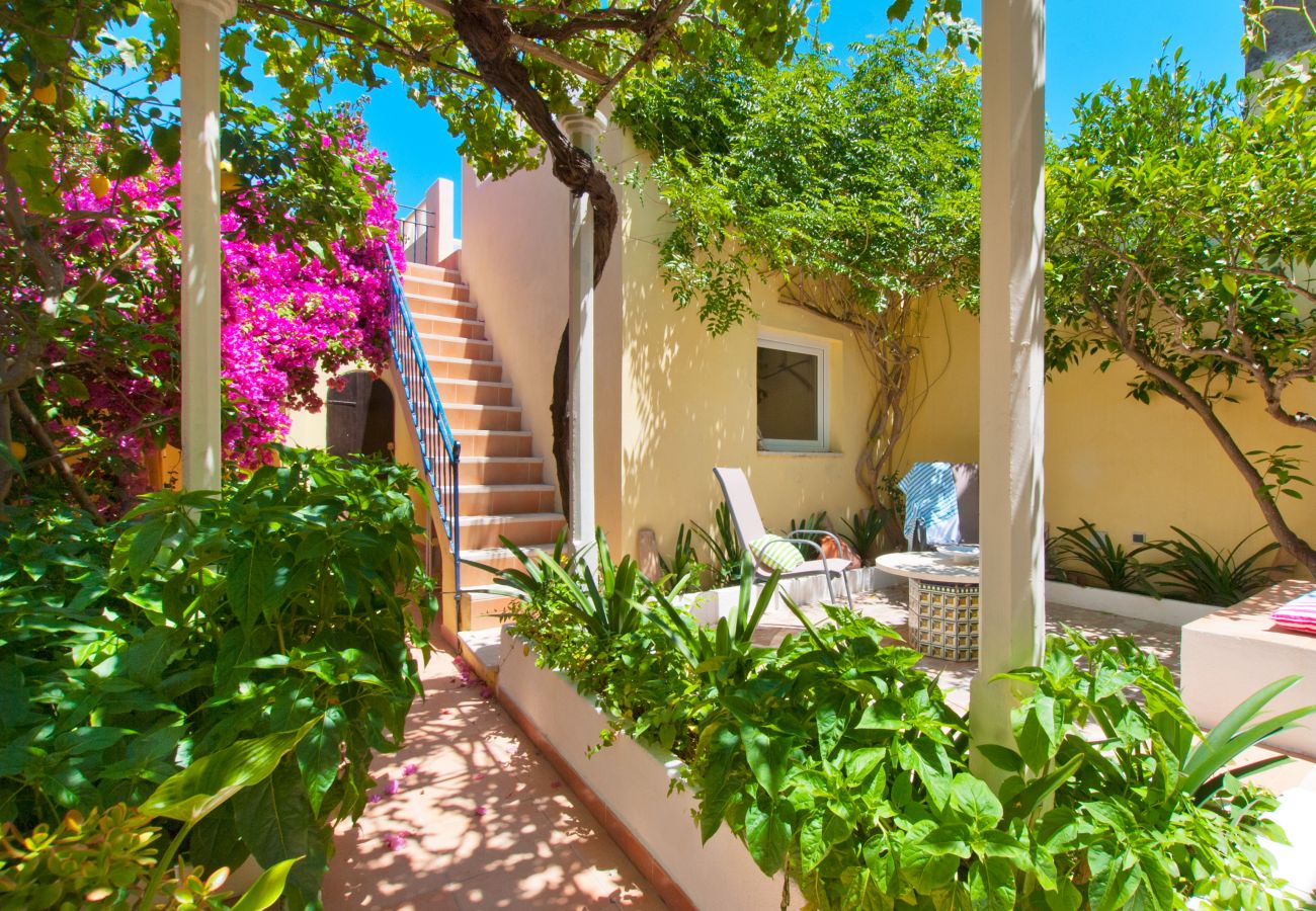 Casa en Alcúdia - C. Casa Bibi con jardín y patio en Alcudia