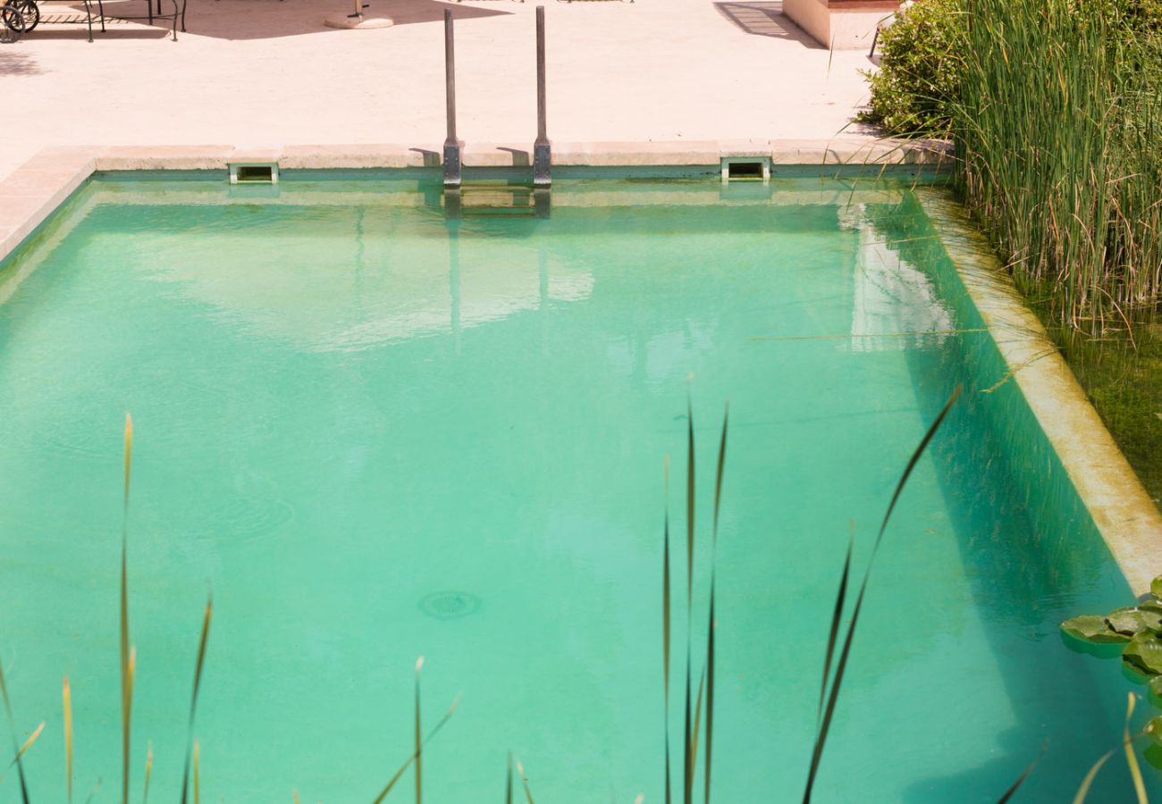 Villa en Andratx - V. Finca Puig de Garrafa with pool Port d'Andratx