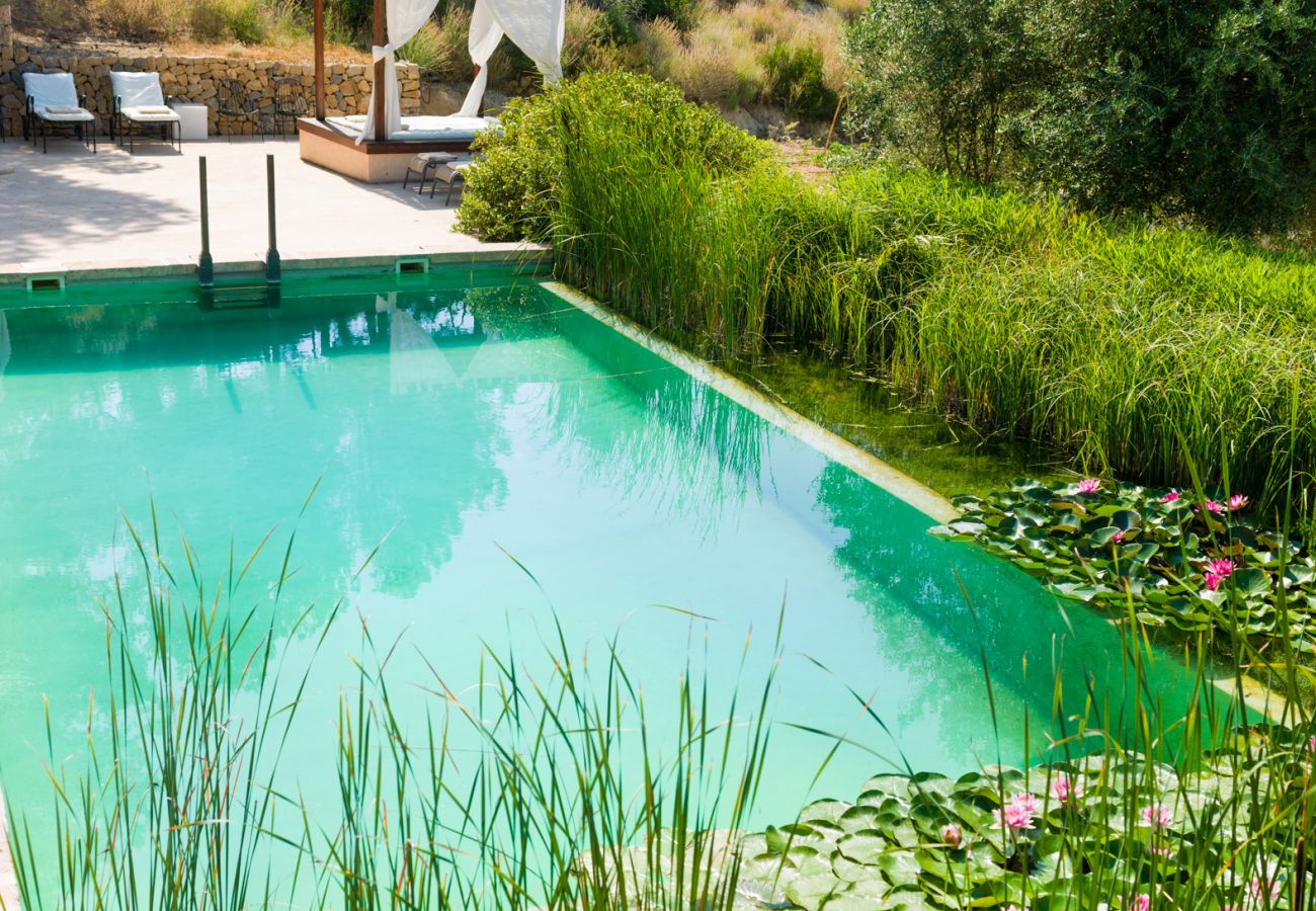 Villa en Andratx - V. Finca Puig de Garrafa with pool Port d'Andratx