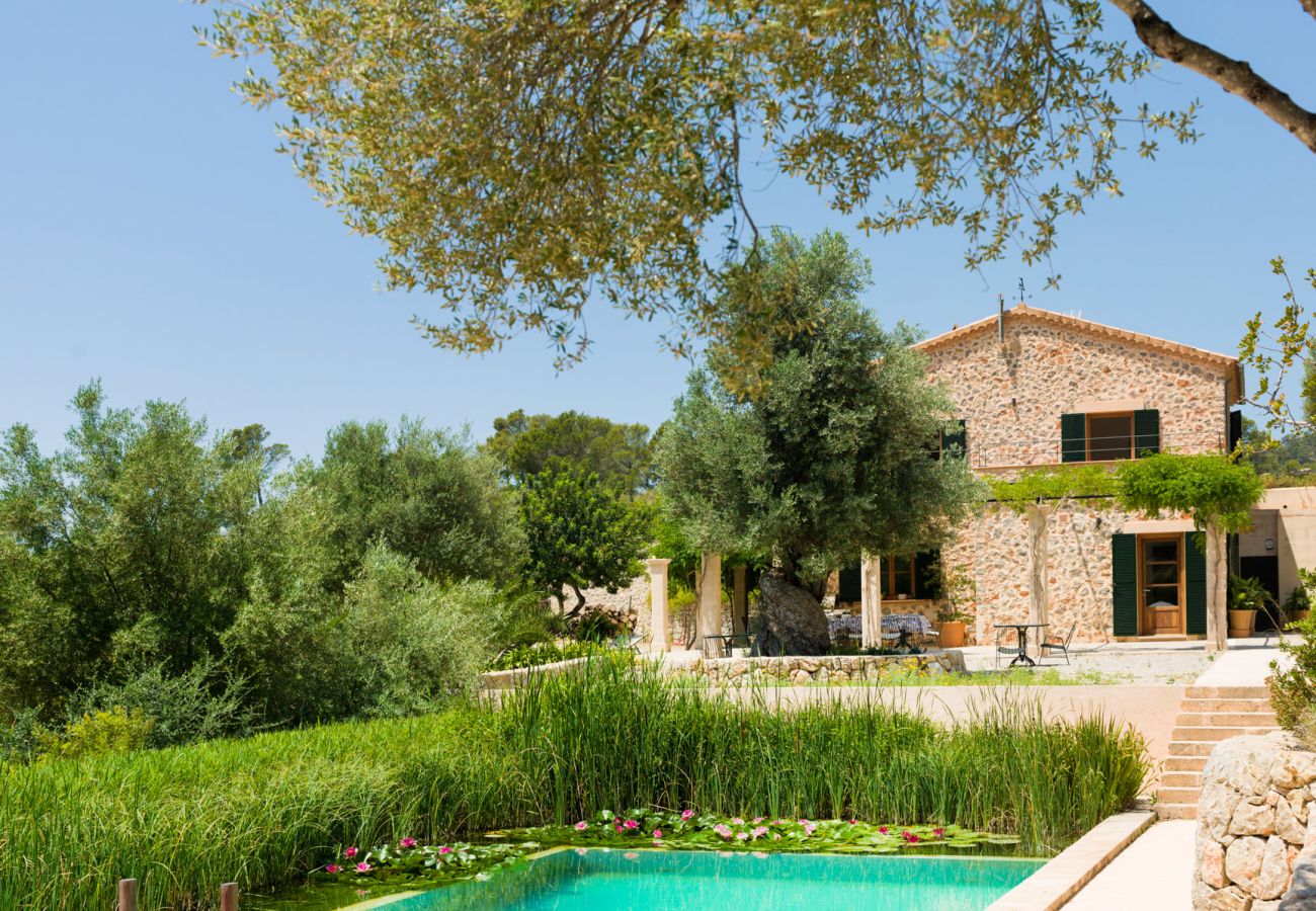 Villa en Andratx - V. Finca Puig de Garrafa with pool Port d'Andratx