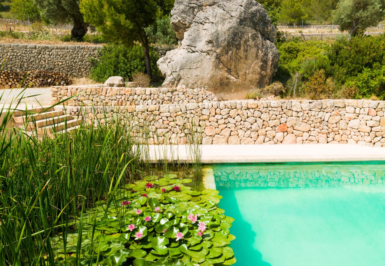 Villa en Andratx - V. Finca Puig de Garrafa with pool Port d'Andratx