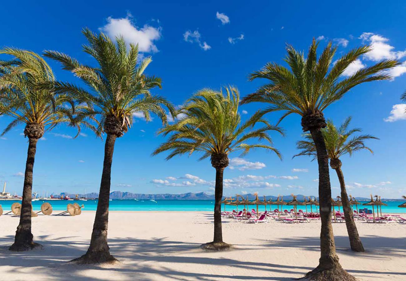Apartamento en Alcúdia - A. Oiza Sand Castle 15, Apto. 15 Edificio Canopus