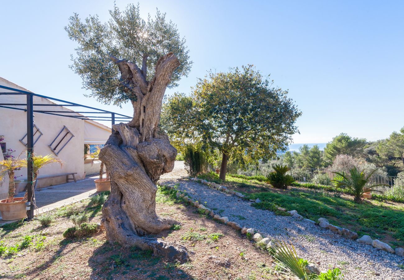 Villa en Andratx - V. Finca Lluisa in Andratx WiFi