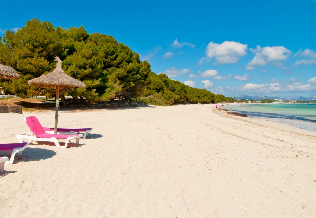 Apartamento en Port d´Alcudia - A. Mar del Plata at Alcudia Beach