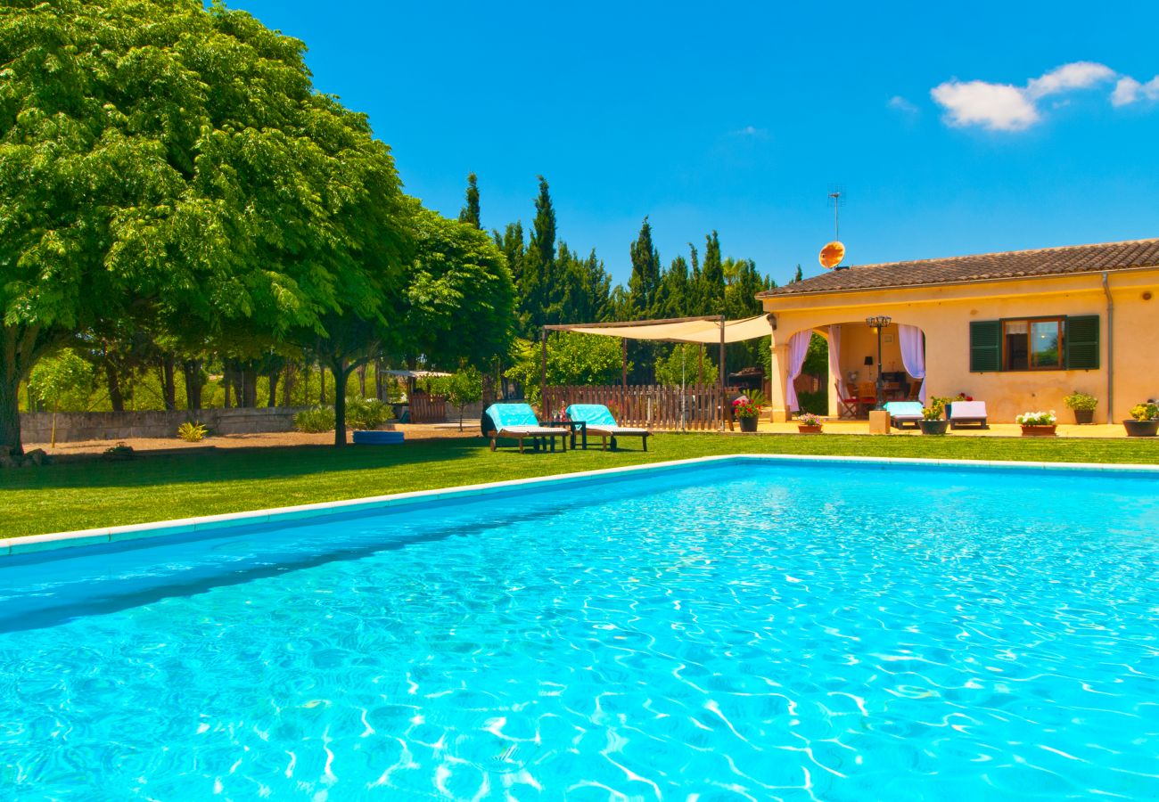 Villa en Sencelles - V. Can Coll de Sencelles