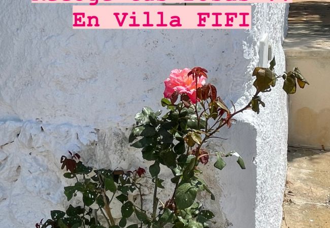 Villa en Calan Porter - Menorca FIFI Villa en Calan Porter - Menorca FIFI