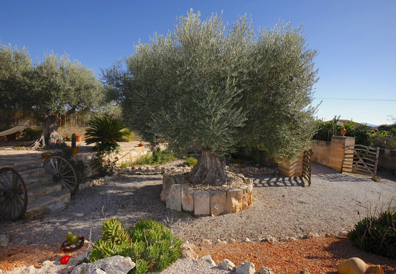 Villa en Porreres - Quality Villa Es Molí