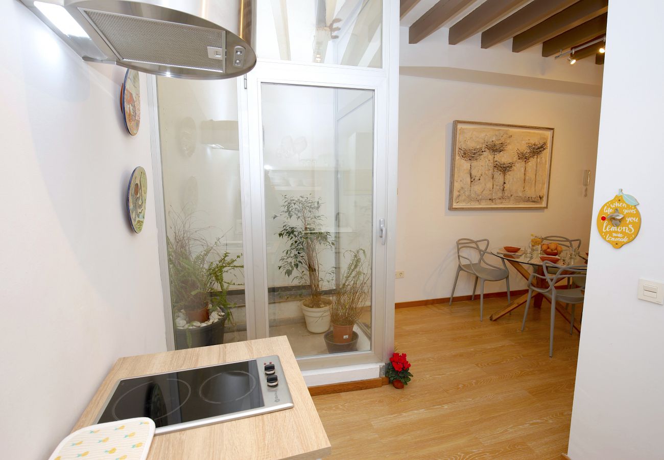 Apartamento en Palma de Mallorca - Sant Miquel Homes Formentor
