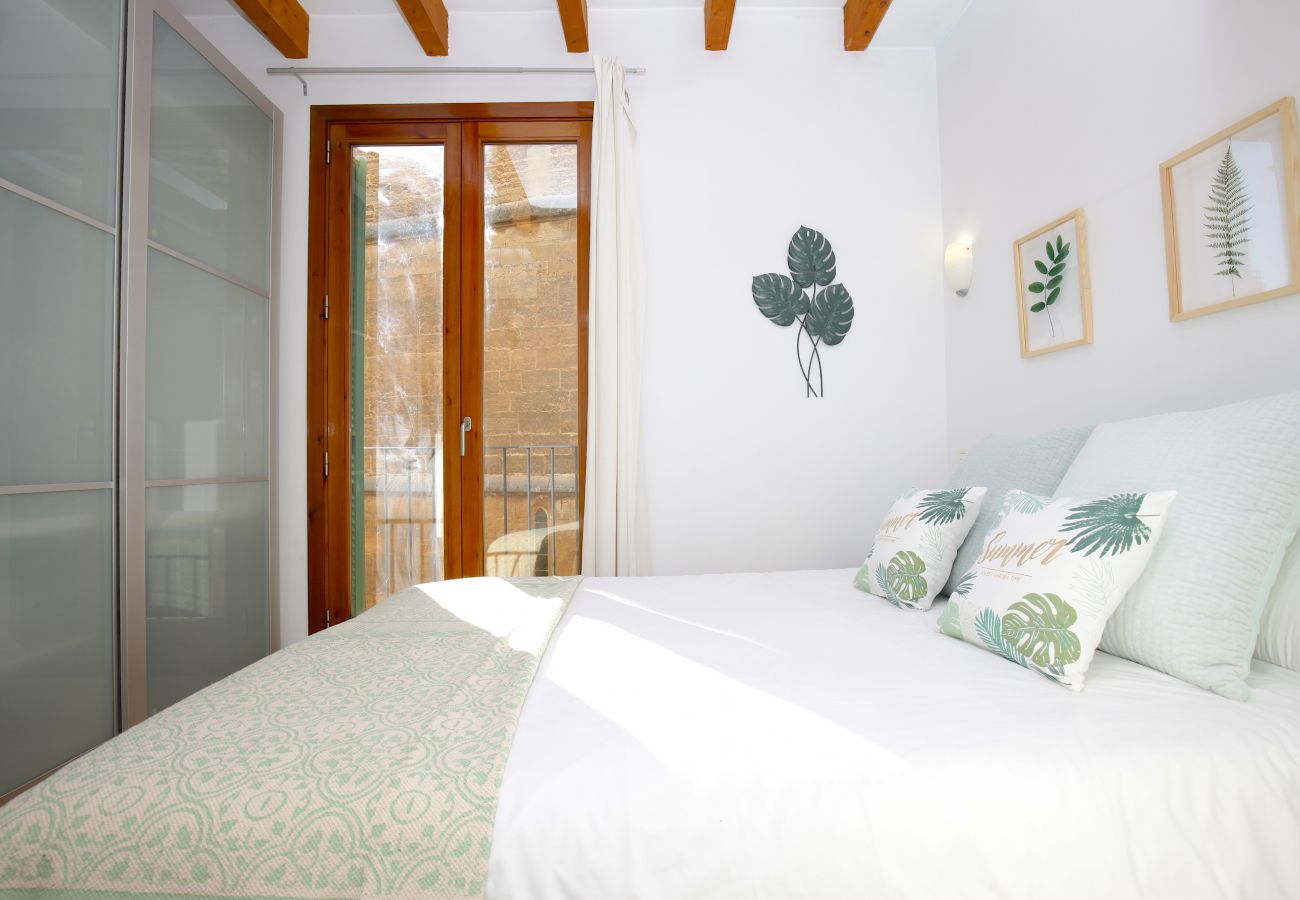 Apartamento en Palma de Mallorca - Sant Miquel Homes Albufera