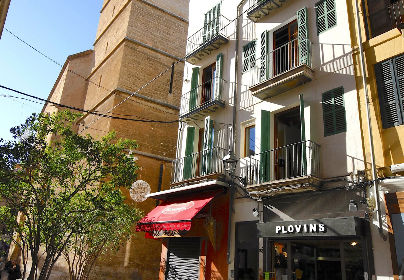 Apartamento en Palma de Mallorca - Sant Miquel Homes Albufera