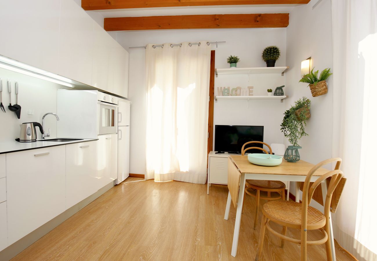 Apartamento en Palma de Mallorca - Sant Miquel Homes Albufera