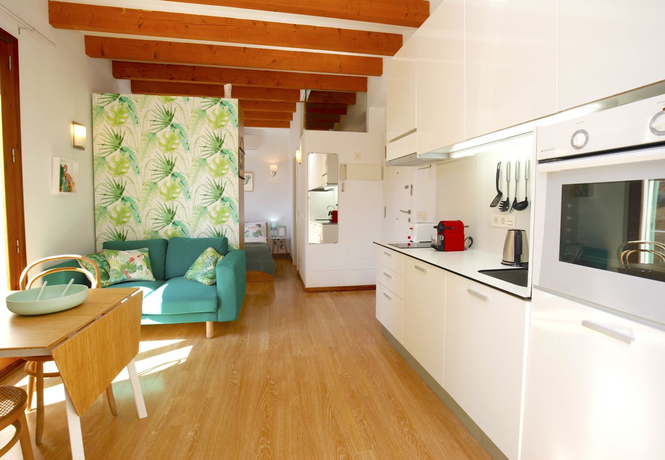 Apartamento en Palma de Mallorca - Sant Miquel Homes Albufera