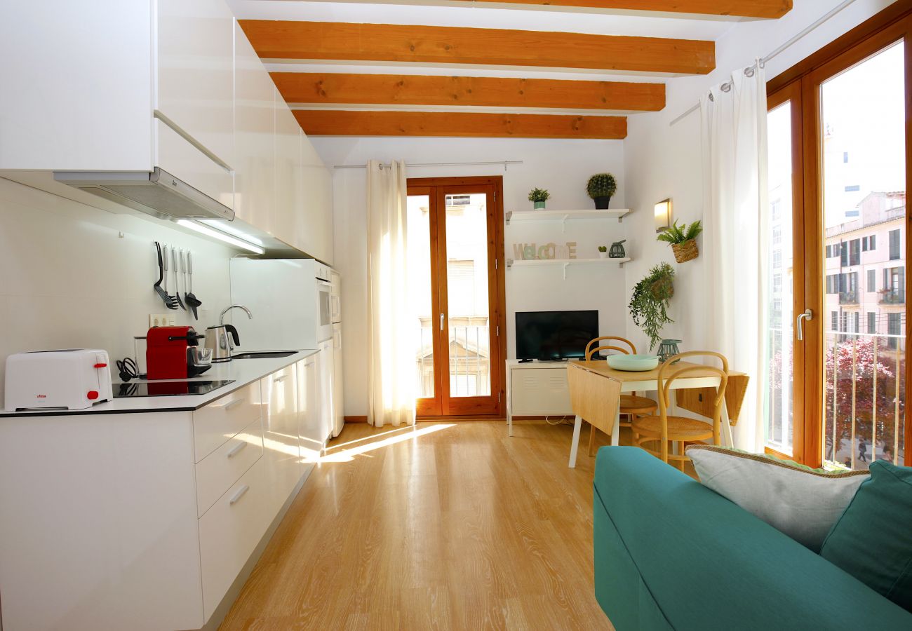Apartamento en Palma de Mallorca - Sant Miquel Homes Albufera