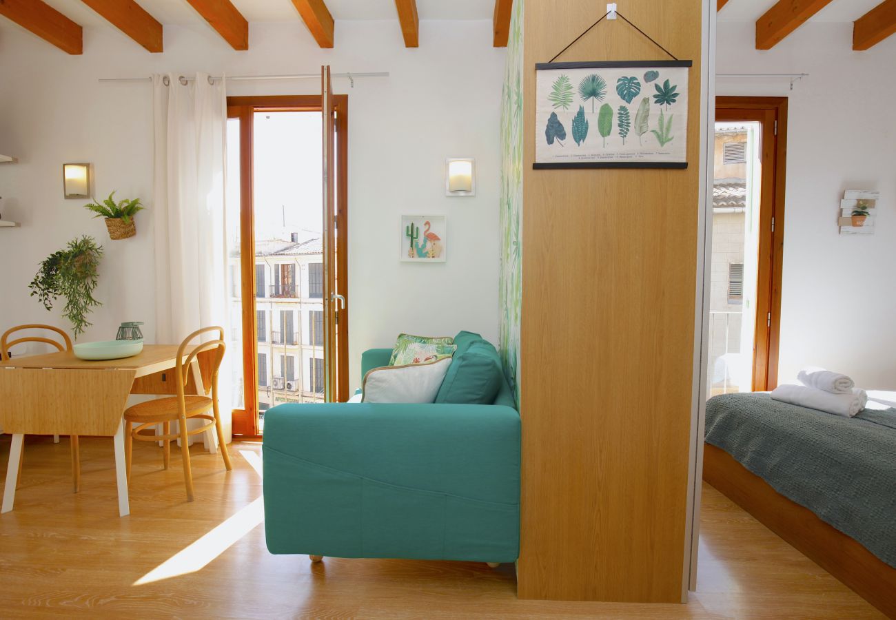 Apartamento en Palma de Mallorca - Sant Miquel Homes Albufera