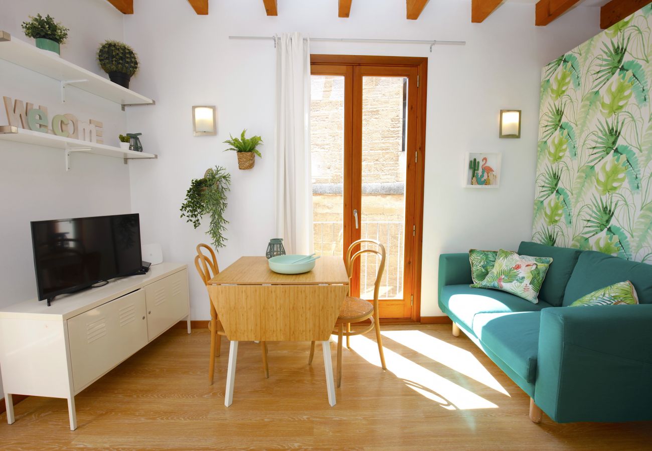 Apartamento en Palma de Mallorca - Sant Miquel Homes Albufera
