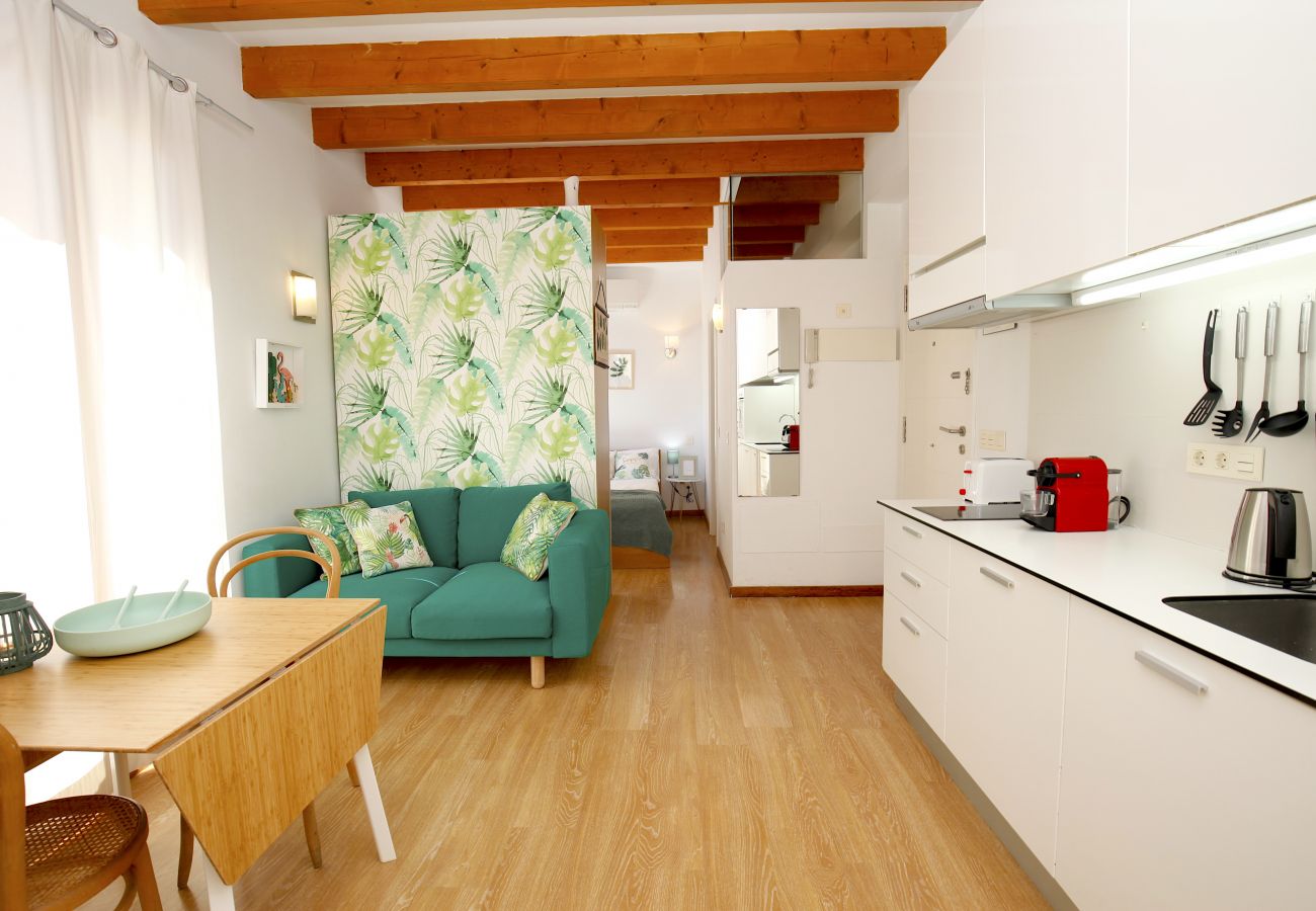 Apartamento en Palma de Mallorca - Sant Miquel Homes Albufera