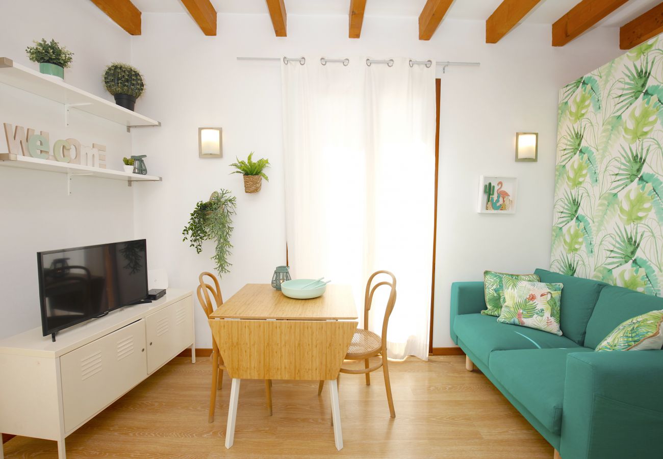 Apartamento en Palma de Mallorca - Sant Miquel Homes Albufera