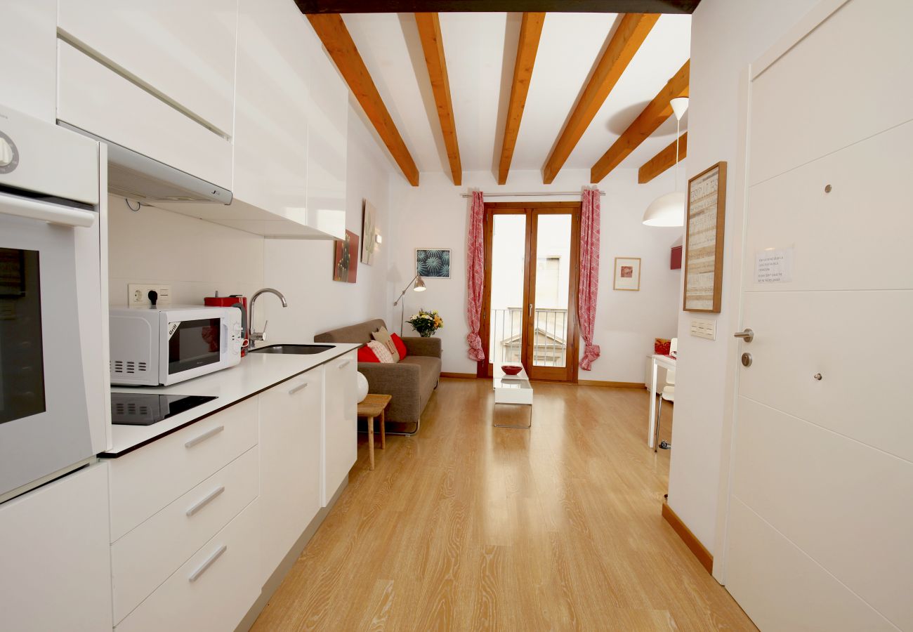Apartamento en Palma de Mallorca - Sant Miquel Homes Dragonera