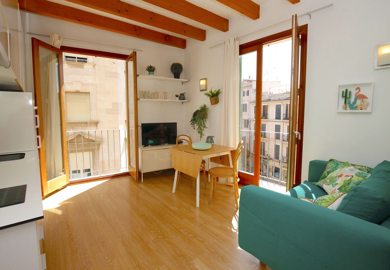 Apartamento en Palma de Mallorca - Sant Miquel Homes Sa Calobra