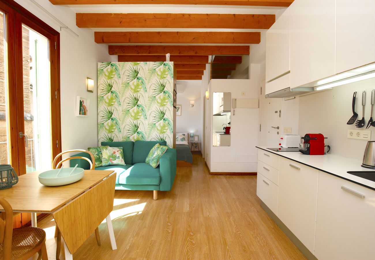 Apartamento en Palma de Mallorca - Sant Miquel Homes Sa Calobra