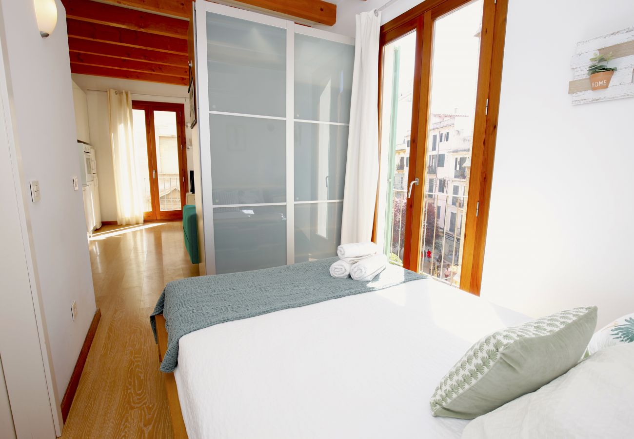 Apartamento en Palma de Mallorca - Sant Miquel Homes Sa Calobra