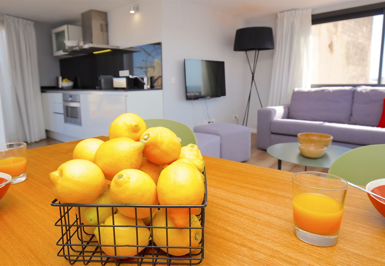 Apartamento en Palma de Mallorca - L´Aguila Suites Penthouse