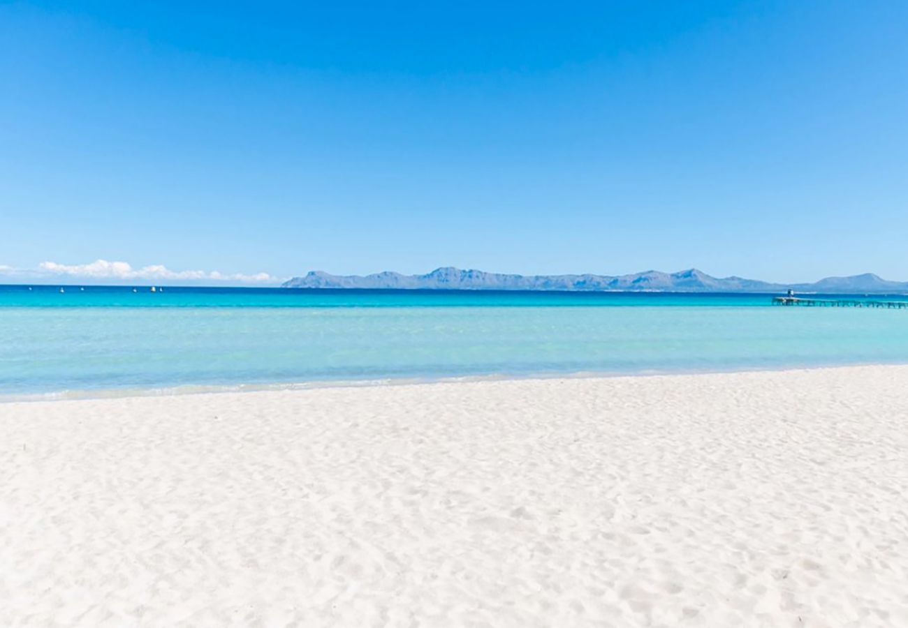 Apartamento en Alcúdia - A. Concha Apartamento en CLAVELLS 1 1ER D