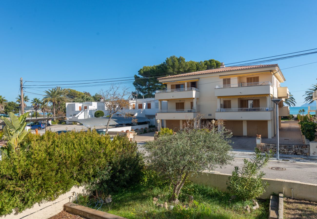 Apartamento en Alcúdia - A. Concha Apartamento en CLAVELLS 1 1ER D