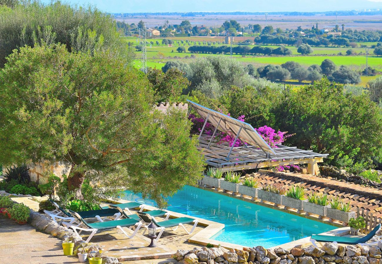 Preciosas vistas desde la piscina de la villa en Alcudia